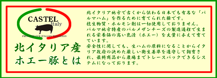 日東ベスト ｊｇ ホエー豚の厚切りベーコン ６００ｇ 業務用食品ショップ マカリロキッチン
