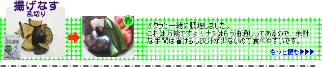 ノースイ） カンタン菜園　揚げなす（乱切り）　５００ｇ