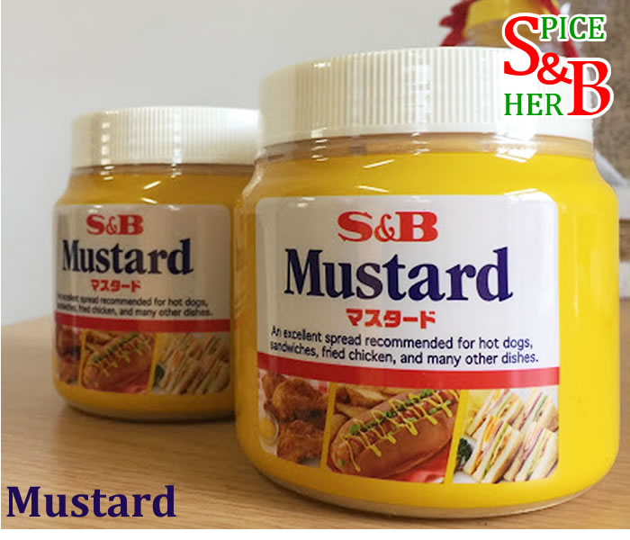 67円 信頼 マスタード スクイズパック Samp;B SB エスビー食品